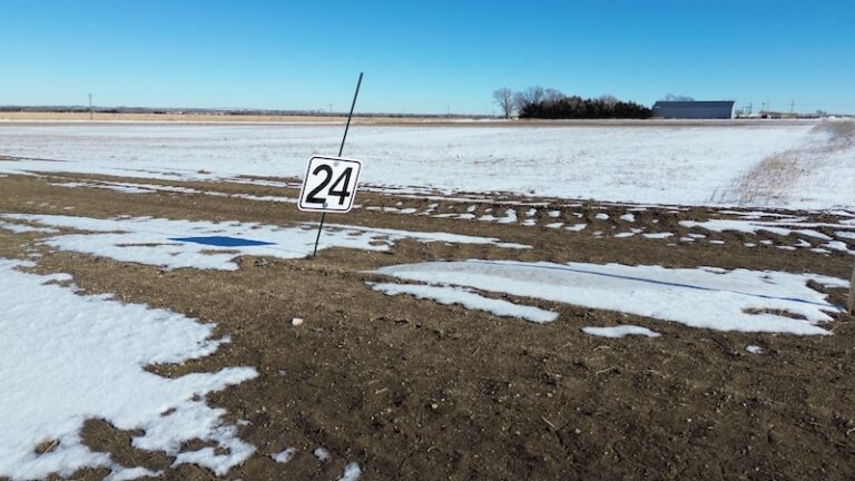 Lot 24