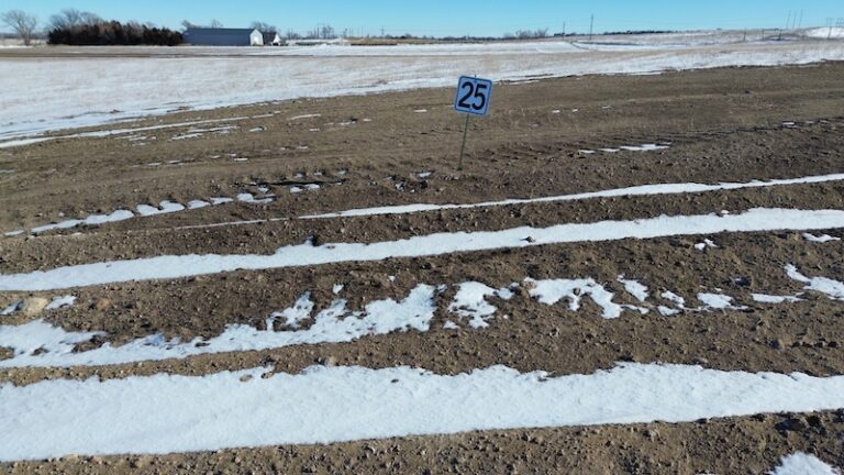 Lot 25